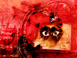 alexander schindel fotografie