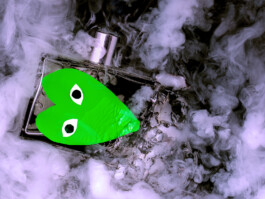 alexander schindel fotografie